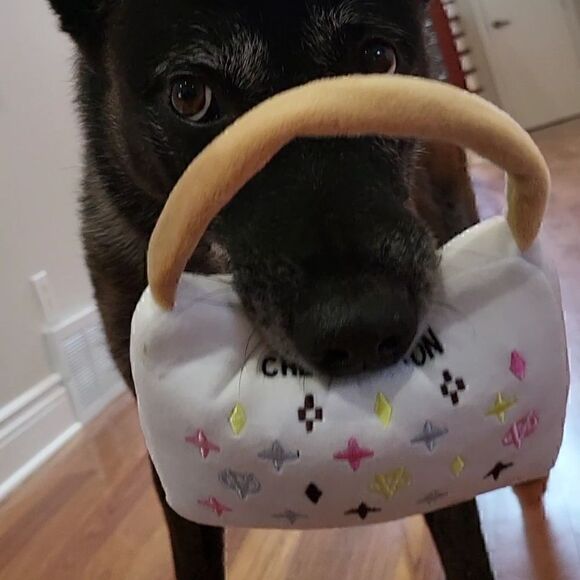 ❤Host Pick ❤ Bark Dog Toy Brand New Posh Plush Purse for Big Dogs - Picture 2 of 2